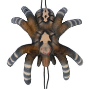 LEITOLD Little Bird Spider