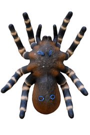 LEITOLD-Target Giant Bird Spider