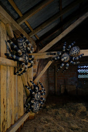 LEITOLD-Target Giant Bird Spider