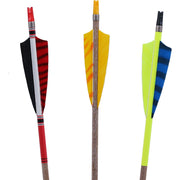 44483 Custom Arrow Traditional Extreme Deluxe