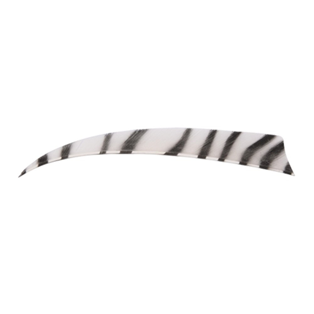 4 Inch Zebra Shield RW