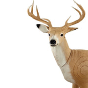 60195 FB Standing Deer