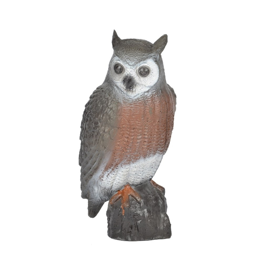 60199 FB Brown Owl